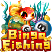 Bingo Fishing FG77